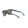 Oakley Frogskins, PRIZM™, Crystal Black