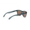 Oakley Frogskins, PRIZM™, Crystal Black