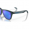 Oakley Frogskins, PRIZM™, Crystal Black