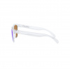 Oakley Frogskins, PRIZM™, leštené číre