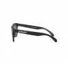 Oakley Frogskins, PRIZM™, matná čierna