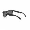 Oakley Frogskins, PRIZM™, matná čierna
