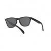 Oakley Frogskins, PRIZM™, matná čierna