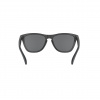 Oakley Frogskins, PRIZM™, matná čierna