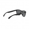 Oakley Frogskins, PRIZM™, matná čierna