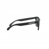 Oakley Frogskins, PRIZM™, matná čierna