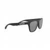 Oakley Frogskins, PRIZM™, matná čierna
