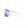 Oakley Jawbreaker, PRIZM™, Bianco lucido