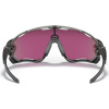 Oakley Jawbreaker, PRIZM™, Grey Ink