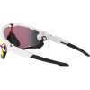 Oakley Jawbreaker, PRIZM™, Polished White