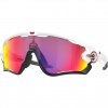 Oakley Jawbreaker, PRIZM™, leštená biela