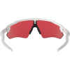 Oakley Radar Ev Path, PRIZM™, branco polido