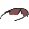 Oakley Radar EV Path, PRIZM™, Matte Black