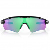 Oakley Radar EV Path, PRIZM™, Nero lucido