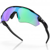 Oakley Radar EV Path, PRIZM™, Nero lucido