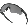 Oakley Radar EV Path, PRIZM™, Polarized, Matte Black