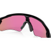 Oakley Radar EV Path, PRIZM™, Polished Black