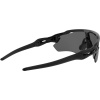 Oakley Radar EV Path, PRIZM™, Polished Black