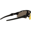 Oakley Radar EV Path, PRIZM™, Polished Black