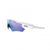 Oakley Radar Ev Path, PRIZM™, polerowana biel