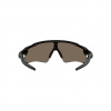Oakley Radar EV Path, PRIZM™, leštená čierna
