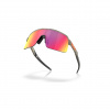 Oakley Sutro Lite, PRIZM™, matná sivá farba