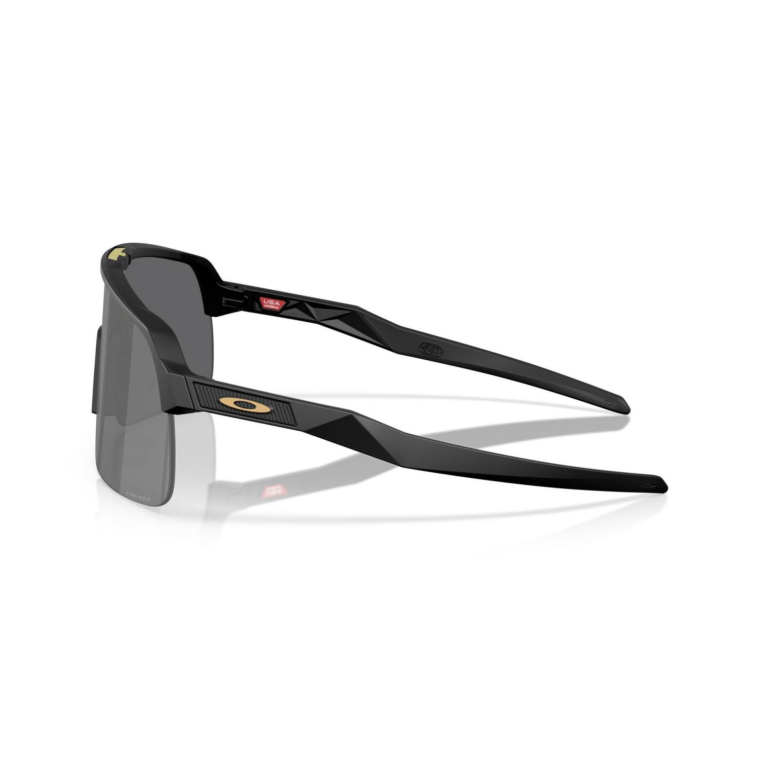 Oakley Sutro Lite, PRIZM™, negru mat