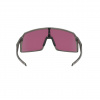 Oakley Sutro, PRIZM™, Grey Ink