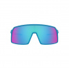 Oakley Sutro, PRIZM™, Sky