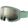POC Opsin, ski goggles, gibbsite green
