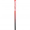 Rossignol Hero SL, bastões de esqui, prata/vermelho