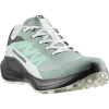 Salomon Alphaglide GTX, bežecká obuv, dámska, zelená/sivá