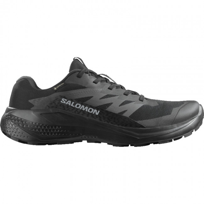 Salomon Alphaglide GTX, chaussures de course, homme, noir