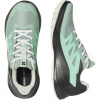 Salomon Alphaglide GTX, pantofi de alergare, femei, verde/gri