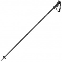 Salomon Arctic, Alpinstöcke, schwarz