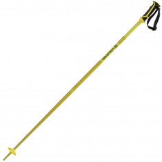 Salomon Arctic pole, yellow