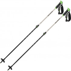Salomon MTN ALU S3, ski poles, rainy day/green