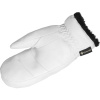 Salomon Native Gore-Tex, ski mittens, women, white