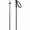 Salomon Polar Access, ski poles, black