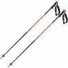 Salomon Polar Pro S3, ski poles, flame