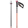 Salomon Polar Pro S3, ski poles, flame