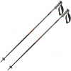 Salomon Polar Pro S3, ski poles, oil green