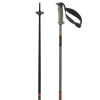 Salomon Polar Pro S3, ski poles, oil green