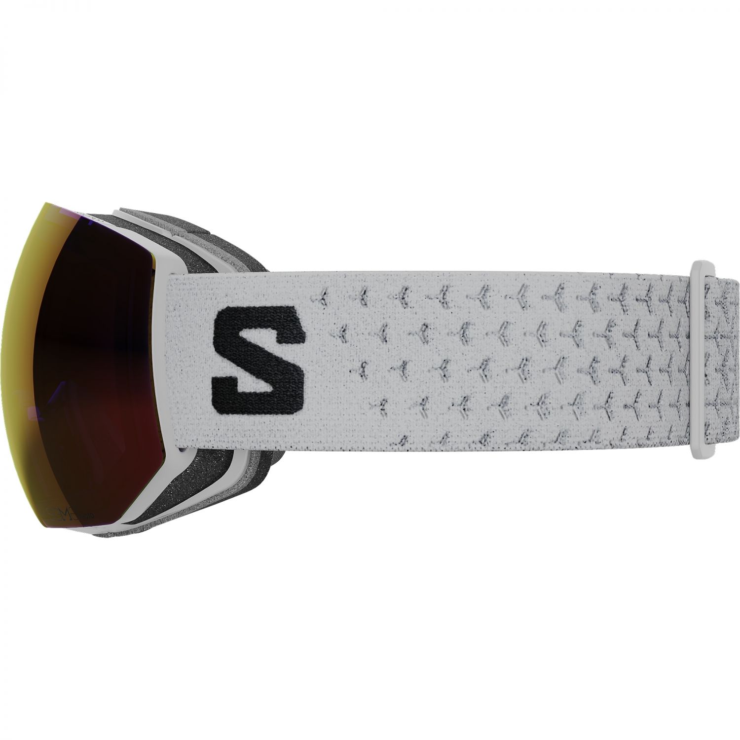 Salomon Radium Pro Sigma Photo, Skibriller, White