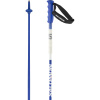 Salomon S/Race Carbon, ski poles, blue