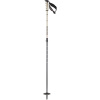 Salomon Steep Vario S3, bâtons de ski, beige