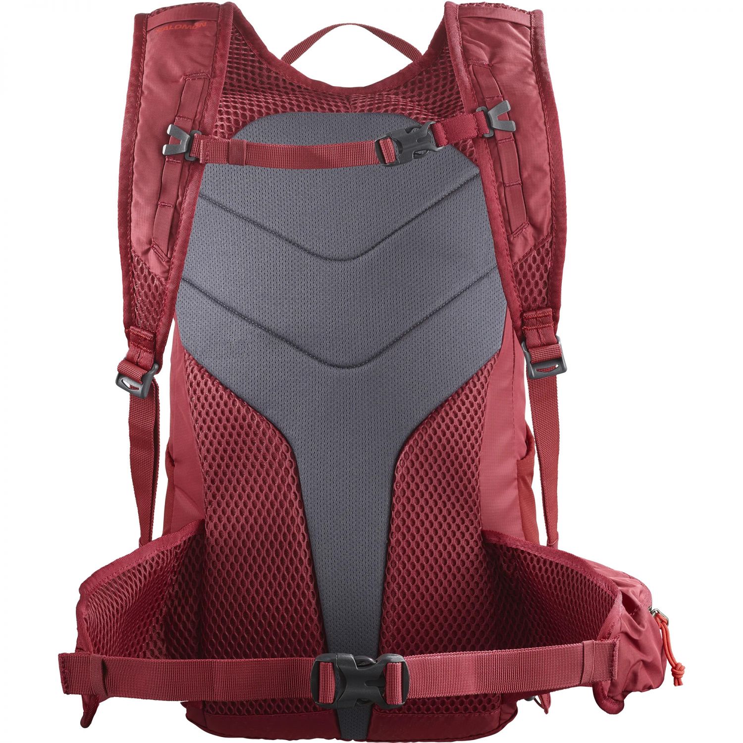 Salomon Trailblazer 20, backpack, aurora orange/biking red