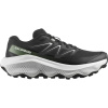 Salomon Ultra Flow 2, b?žecké boty, dámské, ?erná/bílá