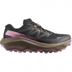 Salomon Ultra Flow 2 GTX, Trailrunningschuhe, Damen, schwarz/lila