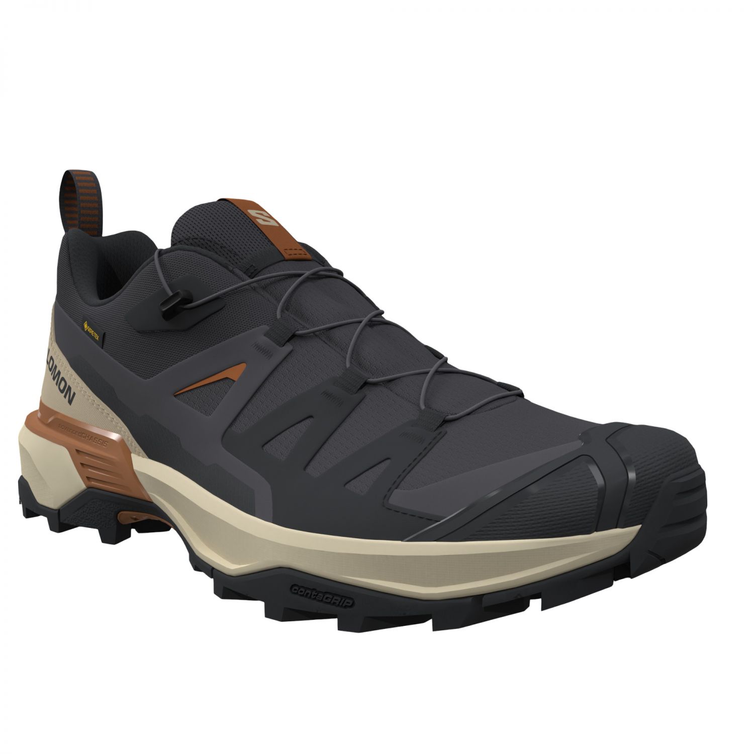 Salomon X Ultra 360 GTX, hiking shoes, men, brown/beige